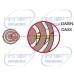 SL70-CRDCR-35-12V