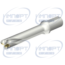 DS20-D3500L40-05