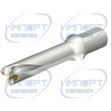 DS20-D4500L50-04