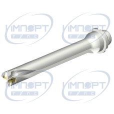 DS20-D2300DM25-07