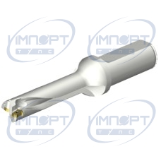 DS20-D1800L25-04