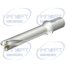 DS20-D4500L50-05