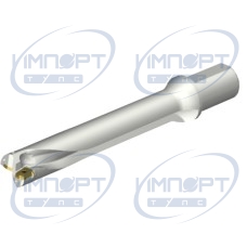 DS20-D4500L50-06