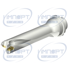 DS20-D3100DM32-04