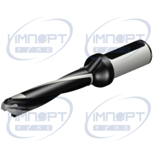 870-1900-19L25-5