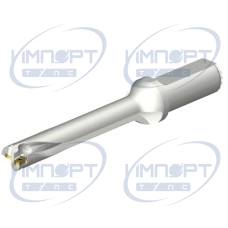 DS20-D1800L25-06