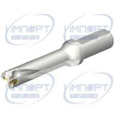 DS20-D2200L25-04