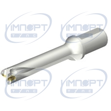 DS20-D3100L40-05