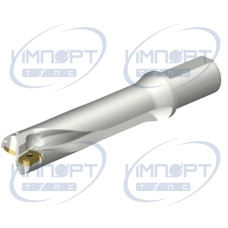 DS20-D4100L40-04