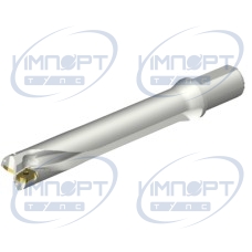 DS20-D4100L40-06