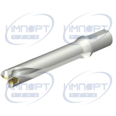 DS20-D4100L40-05