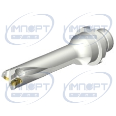 DS20-D1666DM20-04