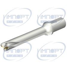 DS20-D3100L40-06