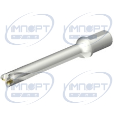 DS20-D3100L40-07