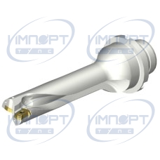DS20-D1900DM25-04