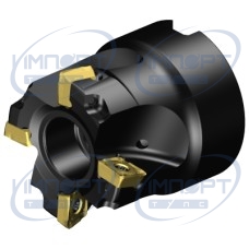 A490-038R19-08M