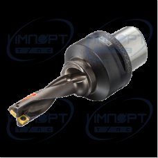 881-D1700C4-03