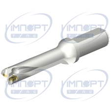 DS20-D2100L25-04