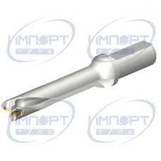 DS20-D2100L25-05