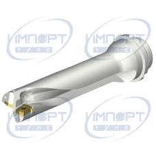 DS20-D4400DM50-04