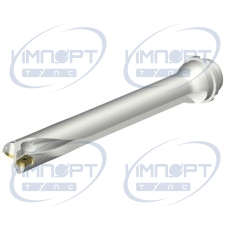 DS20-D4400DM50-07