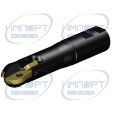 RA216-32M32-101