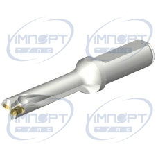 DS20-D1500L20-04