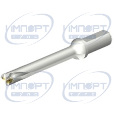 DS20-D1900L25-07