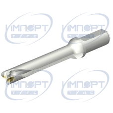 DS20-D2100L25-06