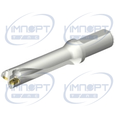 DS20-D2400L25-04