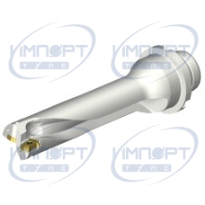 DS20-D2200DM25-04