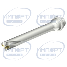 DS20-D2400DM25-07