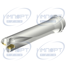 DS20-D5398DM50-04