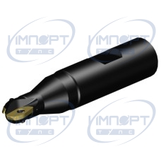 RA216-13M19-038