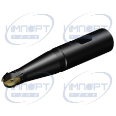 RA216-13M19-057