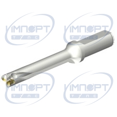 DS20-D1500L20-06