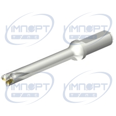 DS20-D1500L20-07