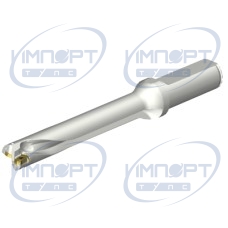 DS20-D1700L20-06