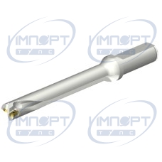 DS20-D1700L20-07