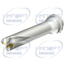 DS20-D4200DM40-04