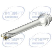 DS20-D1905DM25-07