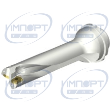 DS20-D3493DM40-04