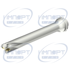 DS20-D3967DM40-07