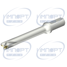 DS20-D2100L25-07