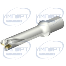 DS20-D4200L50-04