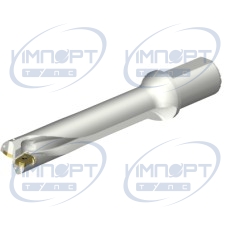 DS20-D4200L50-05