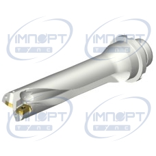 DS20-D2500DM25-04