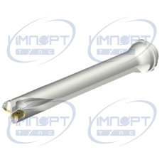 DS20-D4200DM40-07