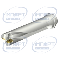 DS20-D5500DM50-04