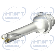 DS20-D1745DM25-04